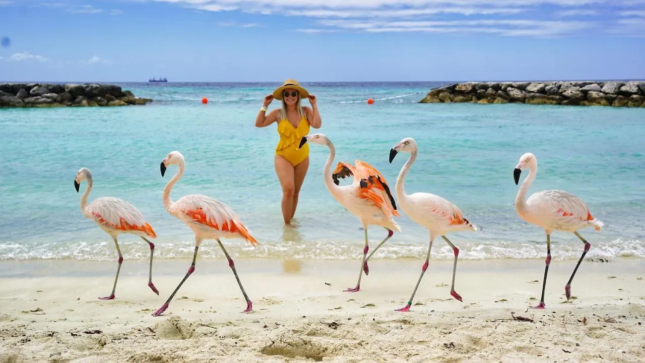 Salinja Cerca 2-B Villa Palm Beach Aruba